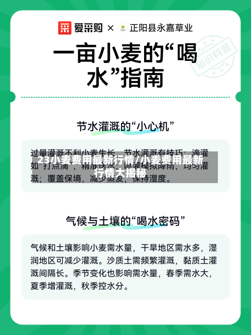 23小麦费用最新行情/小麦费用最新行情大揭秘
