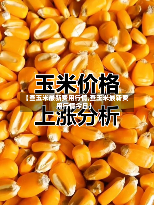 【查玉米最新费用行情,查玉米最新费用行情今日】-第2张图片