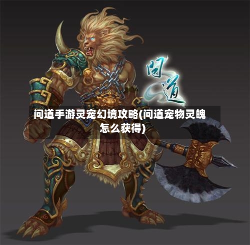 问道手游灵宠幻境攻略(问道宠物灵魄怎么获得)