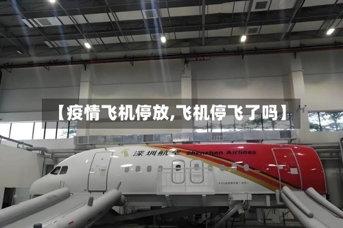 【疫情飞机停放,飞机停飞了吗】-第2张图片