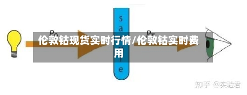 伦敦钴现货实时行情/伦敦钴实时费用