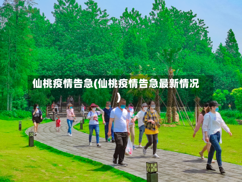 仙桃疫情告急(仙桃疫情告急最新情况)-第3张图片